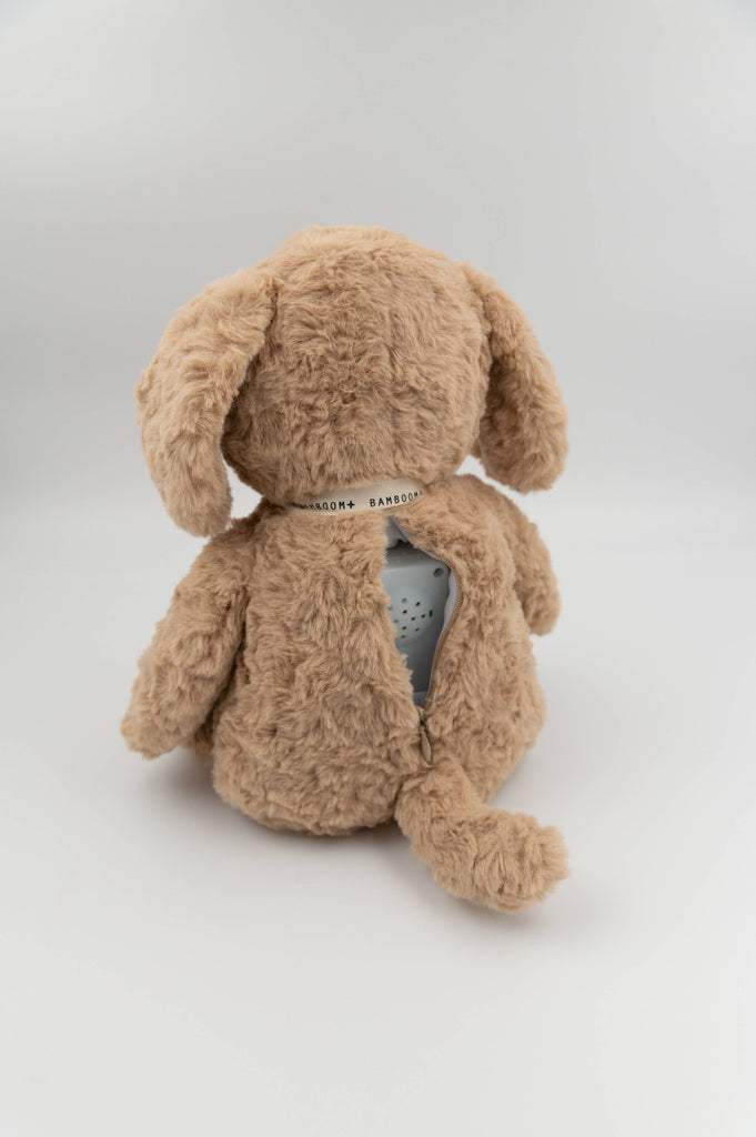 557fd81023d36395c68d37ac1df25c0f1cdc3bff